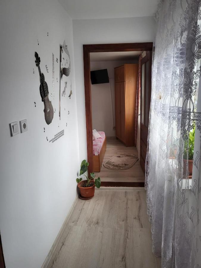 וטרה דורניי Pensiunea Lacramioara מראה חיצוני תמונה